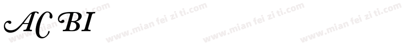 AdobeCaslon BoldItalic字体转换